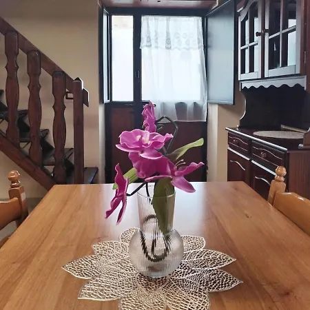 Patty's House